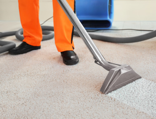 Six Tips to Extend the Life of Your Carpet