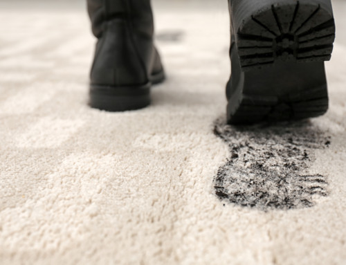 Seven Top Reasons Why it is Important to Take Off Your Shoes Before Walking on your Carpet?